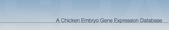 A chicken embryo gene expression database